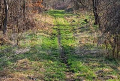 Casă cu 1 camere cu Teren 5400 Mp în Central