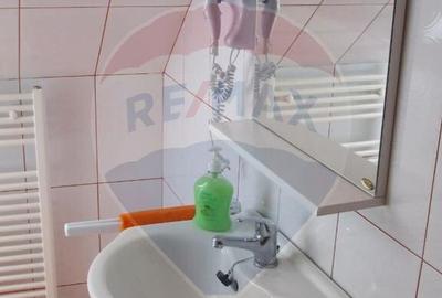 Afacere la cheie cu randament peste 20% anual - Pensiune ... - 9