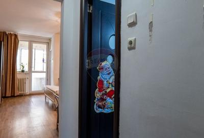 Vanzare apartament cu 1camera,  zona Pantelimon - Piata Delfinului - 4