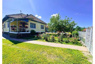 Casă cu 3 camere cu Teren 850 Mp în Criș - 6