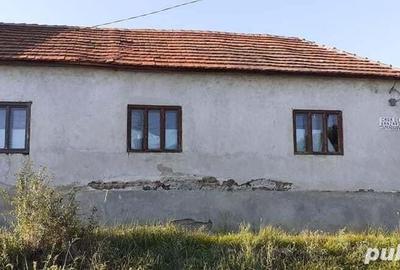 Teren de 2700 mp, în Tăgădău - 3