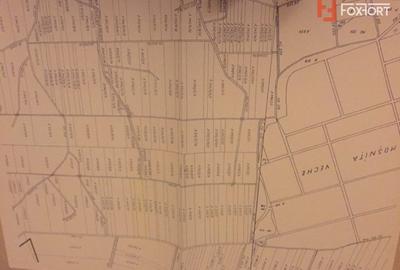 Teren 20000 mp intre Mosnita Veche si Bucovat - ID V4317 Teren 20000 mp intre Mosnita Veche si Bucovat - ID V4317 - 3