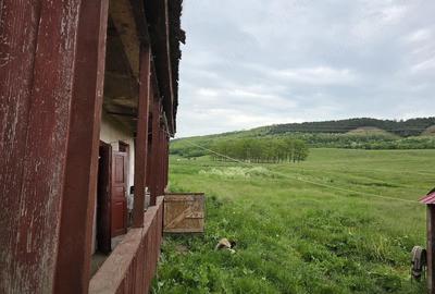 Casă cu Teren 5000 Mp în Șăulia - 3
