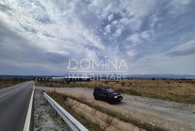 Teren intravilan - 1070 mp - str. Ciocarlau - spre Preajba - 2