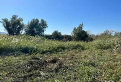 Teren de 3300 mp, în Central - 5