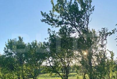 Casa cu 10000mp de teren in Buza, la 50 km de Cluj-Napoca - 4