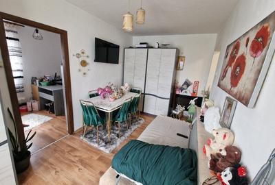 Apartament de vanzare 2 camere, 33 mp, zona George Enescu - 2