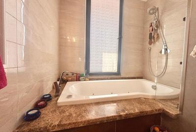 Penthouse cu vedere panoramica 360 Grozavesti - 14