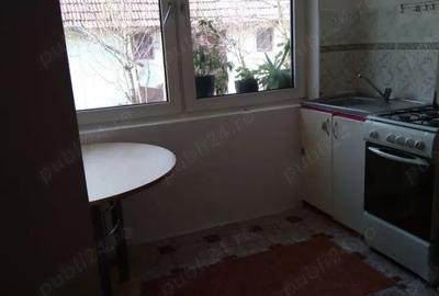 Casă cu 3 camere cu Teren 3000 Mp în Fârliug - 9