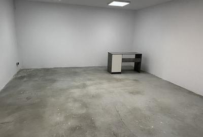 Spațiu industrial, de 590 mp, în Exterior Vest - 5