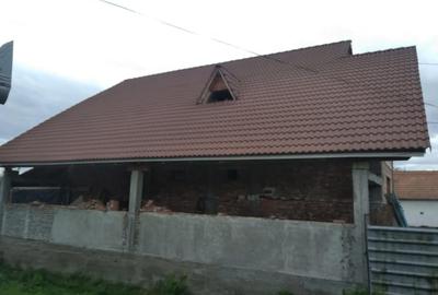 Casă cu Teren 1000 Mp în Râușor - 2