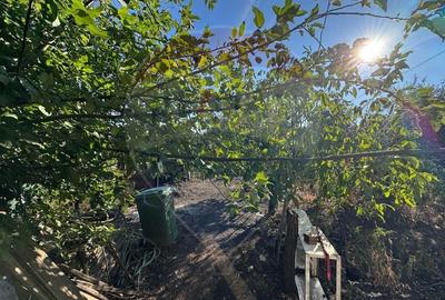 Casa / Vila cu 6 camere de vanzare in zona Sud Casa / Vila cu 6 camere de vanzare in zona Sud - 15