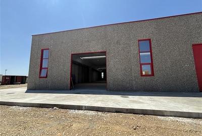 Vanzare depozit/spatiu industrial/hala Chitila - Rudeni, ILFOV - 2