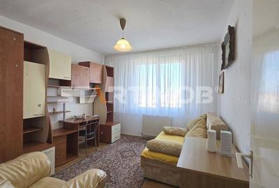 Apartament 3 camere mobilat Vlahuta - 11