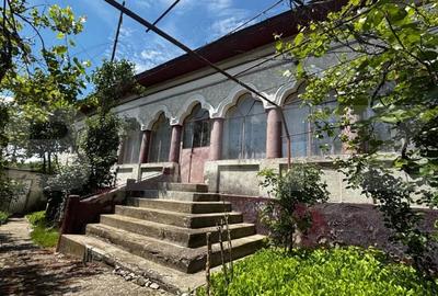 Casă cu Teren 3345 Mp în Central - 10