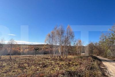 Teren construibil de vanzare, zona casele Micesti - 4