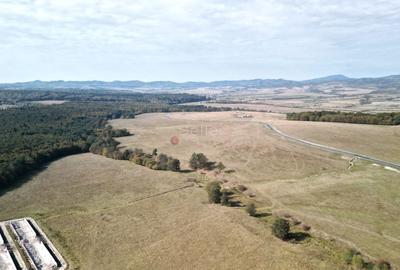 Teren Intravilan - Amplasare Unica - 38