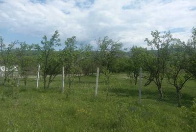 Teren de 1700 mp, în Ogretin - 2