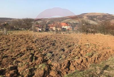 Teren de 2,199 mp cu potential in Covasant, zona deal - 5