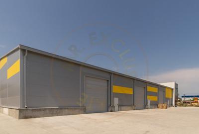 Inchiriere hala noua zona Bascov la DN 7C - 12