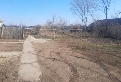 Casă cu 3 camere în Vișina - 1