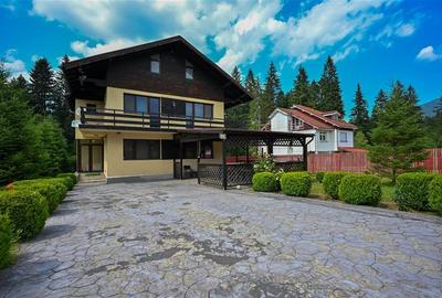 FILM!Resedinta cu farmec montan, domeniu de 1.700 mp,cadru select,Timisul de Sus - 6