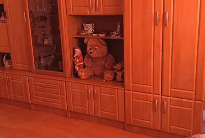 Apartament cu 3 camere semidecomandat în Central - 3