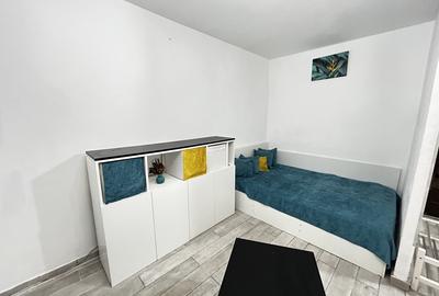 Colentina, Lacul Tei, Teiul Doamnei, Doamna Ghica - 5