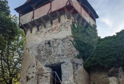 Teren în Bunești - 10