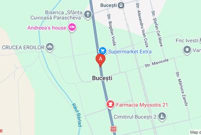 Teren agricol intravilan de 749000 mp, în Bucești - 1