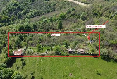 Teren intravilan 2.500 mp cu vie, pomi fructiferi și construcții – Orșova, DN57 - 1