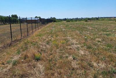 Teren de 2666 mp, în Pârvu Roșu