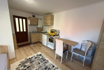 1 camera, Ultracentral, UMF, Hasdeu, Clinicilor, Republicii 1 camera, Ultracentral, UMF, Hasdeu, Clinicilor, Republicii - 2