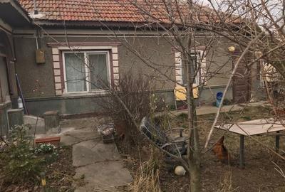 Casă individuală cu 3 camere cu Teren 1000 Mp în Plumbuita - 2