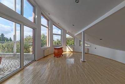 Inchiriere vila spatioasa Iancu Nicolae - piscina, util 800 mp, teren 1.600 mp - 6