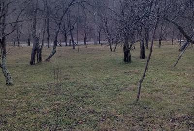 Teren de 2000 mp, în Ocina de Sus - 6