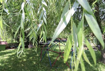 Casa individuala superba de vanzare, cartier Andrei Muresanu! - 9
