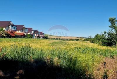 Teren Construcții intravilan de 3538 mp, în 1 Mai - 7