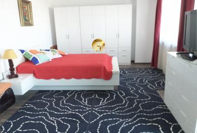 Vila Spatioasa in Duplex P+1+M - Aproape de DN1 - Otopeni - 9