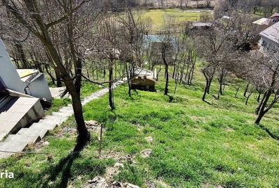 Spațiu comercial, în Grigorescu