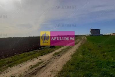 Teren 450mp pentru construc?ie casa - 15