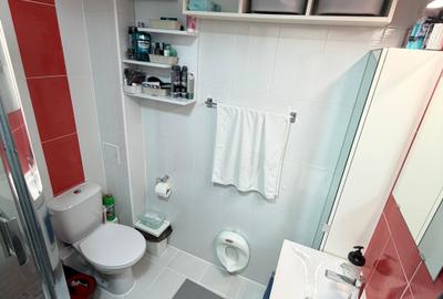 Apartament cu 4 camere decomandat, mobilat în Theodor Pallady - 31