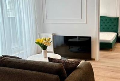 Apartament cu doua camere de inchiriat la Maurer - 4