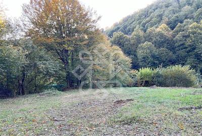 Teren pentru casa de vacanta pe Valea Bratcutei, Bihor - 6