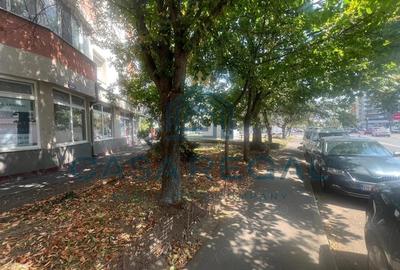 Spatiu comercial, 60mp utili, Iosia Nord - Lidl, Penny, Hotel Nevis - 3