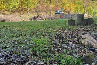 Teren Construcții intravilan de 900 mp, în Govăjdia - 3