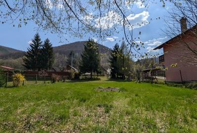 Spațiu comercial, în Someșu Rece - 1