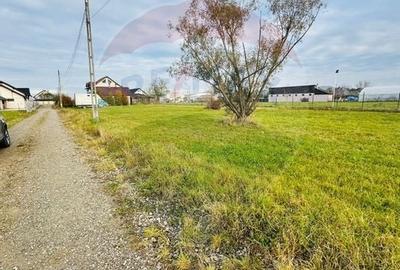 Teren 1,100mp Sighetu Marmatiei / Strada Doboies - 2