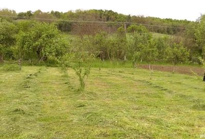 Casă cu 6 camere în Central - 5