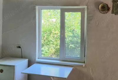 APUSENI! Casa modernizata cocheta, teren imens langa padure, Brad (Hd) - 5